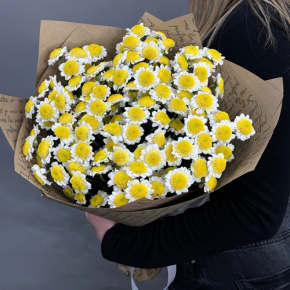 Букет "Моё солнышко" из 11 хризантем сантини  в Мытищах