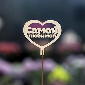 Топпер Самой Любимой в Мытищах