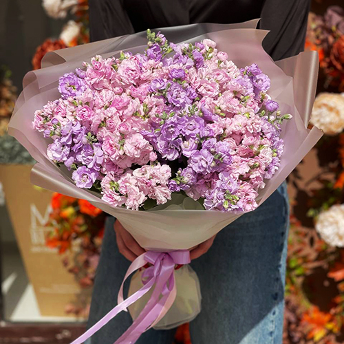 Букет из 19 ароматных маттиол в Мытищах Букет из 19 ароматных маттиол в Мытищах