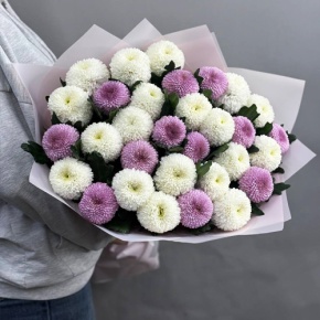 Букет из 31 хризантемы Момоко микс в Мытищах