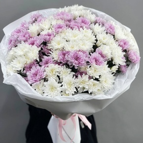 Букет "Конфетти" из 19 кустовых хризантем в Мытищах Букет "Конфетти" из 19 кустовых хризантем в Мытищах