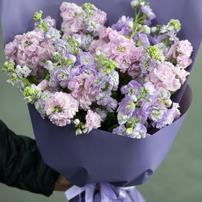 Букет из 15 ароматных маттиол микс в Мытищах