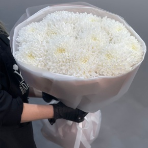 Букет из 11 белых хризантем  в Мытищах