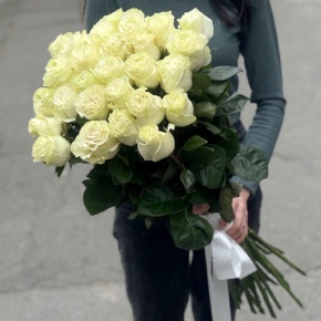 Монобукет из 25 роз Эквадор Мондиаль (80 см) в Мытищах