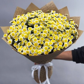 Букет "Моё солнышко" из 31 хризантемы сантини  в Мытищах Букет "Моё солнышко" из 31 хризантемы сантини  в Мытищах