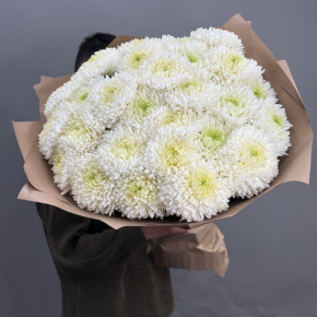 Букет из 27 хризантем Магнум в Мытищах