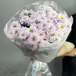 Букет "Нежный комплимент" из 9 кустовых хризантем в Мытищах