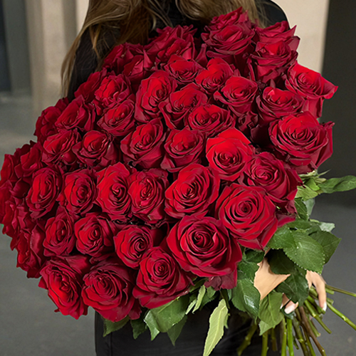 Букет 51 роза Эквадор Эксплорер (60 см) в Мытищах Букет 51 роза Эквадор Эксплорер (60 см) в Мытищах