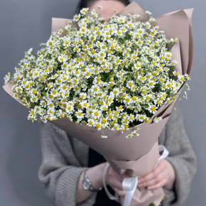 Букет из 17 полевых ромашек в Мытищах