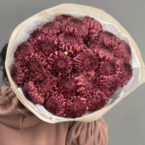 Букет 21 шоколадной хризантемы Бигоуди в Мытищах