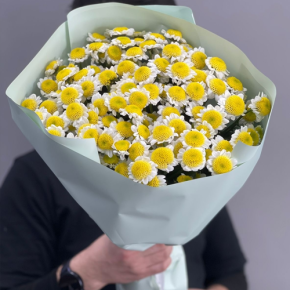 Букет "Моё солнышко" из 17 хризантем сантини в Мытищах