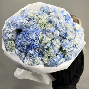 Букет из 23 синих гортензий в Мытищах