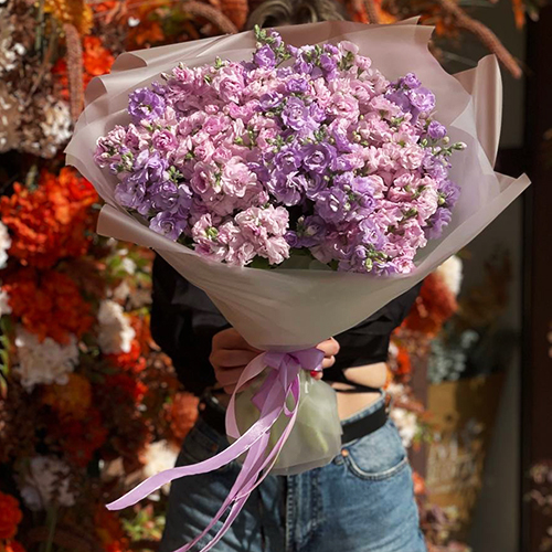 Букет из 19 ароматных маттиол в Мытищах Букет из 19 ароматных маттиол в Мытищах