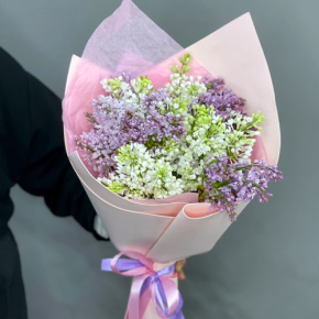 Букет из 11 веток сирени микс в Мытищах