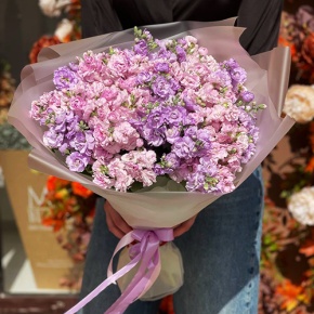 Букет из 19 ароматных маттиол в Мытищах Букет из 19 ароматных маттиол в Мытищах