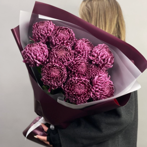 Букет "Изобилие" из 11 винных хризантем Бигоуди в Мытищах
