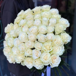 Букет из 51 розы Эквадор Мондиаль под ленту (80 см) в Мытищах