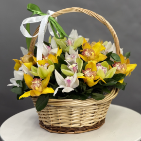 Композиция в корзине из 25 орхидей микс в Мытищах