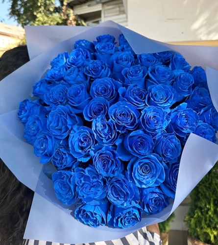 Букет из 51 синей розы Эквадор (60 см) в Мытищах
