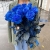 15 синих LUX роз Эквадор (70 см) в Мытищах 15 синих LUX роз Эквадор (70 см) в Мытищах