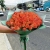 Букет из 51 мандариновой розы (40 см) в Мытищах Букет из 51 мандариновой розы (40 см) в Мытищах