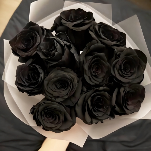 Букет "Черная королева" из 11 черных роз Эквадор (60 см) в Мытищах