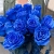 15 синих LUX роз Эквадор (70 см) в Мытищах 15 синих LUX роз Эквадор (70 см) в Мытищах