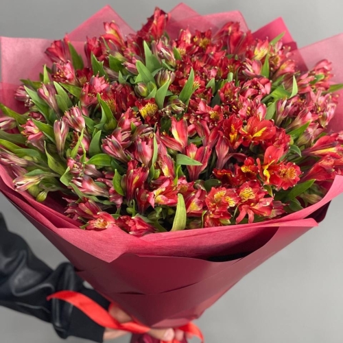 Монобукет из 25 красных альстромерий в Мытищах