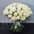 Букет 75 белых роз Эквадор Мондиаль (80 см) в Мытищах Букет 75 белых роз Эквадор Мондиаль (80 см) в Мытищах