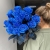 15 синих LUX роз Эквадор (70 см) в Мытищах 15 синих LUX роз Эквадор (70 см) в Мытищах