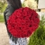 Букет 51 красной розы 50 см в Мытищах Букет 51 красной розы 50 см в Мытищах