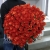 Букет 101 коралловая роза (60 см) в Мытищах Букет 101 коралловая роза (60 см) в Мытищах