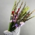 Букет из 25 гладиолусов микс в Мытищах Букет из 25 гладиолусов микс в Мытищах