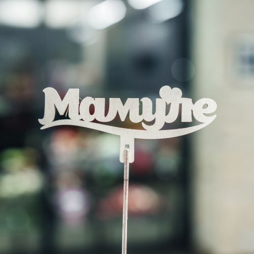 Топпер Мамуле в Мытищах