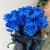 15 синих LUX роз Эквадор (70 см) в Мытищах 15 синих LUX роз Эквадор (70 см) в Мытищах