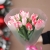 Букет "Фламинго" из 11 пионовидных тюльпанов в Мытищах Букет "Фламинго" из 11 пионовидных тюльпанов в Мытищах