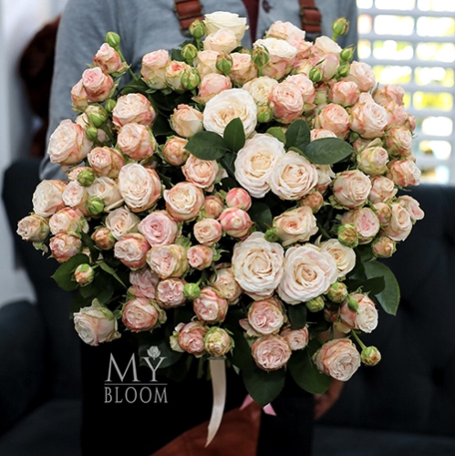 Букет 51 пионовидная роза Бомбастик (60 см) в Мытищах