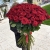 Букет из 101 красной розы (90 см) в Мытищах Букет из 101 красной розы (90 см) в Мытищах