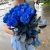 15 синих LUX роз Эквадор (70 см) в Мытищах 15 синих LUX роз Эквадор (70 см) в Мытищах