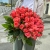 Букет 51 роза коралл (60 см) в Мытищах Букет 51 роза коралл (60 см) в Мытищах