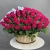 Композиция в корзине из 151 малиновой розы в Мытищах Композиция в корзине из 151 малиновой розы в Мытищах