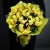 Букет из 13 лимонных орхидей в Мытищах Букет из 13 лимонных орхидей в Мытищах