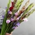 Букет из 25 гладиолусов микс в Мытищах Букет из 25 гладиолусов микс в Мытищах