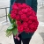 51 малиновая тепличная роза Шангрила (70 см) в Мытищах 51 малиновая тепличная роза Шангрила (70 см) в Мытищах